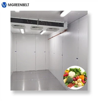 Positive Temperature Walk in Cooler For Vegetable