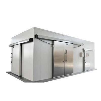 Commercial Cold Room Storage
