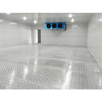 Commercial 100 Tons Cold Storage Room Walk in Cooler