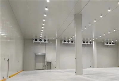 200 Tons Cold Storage Room Walk in Cooler